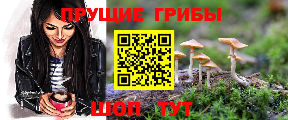 Галлюциногенные грибы мицелий Усть-Джегута