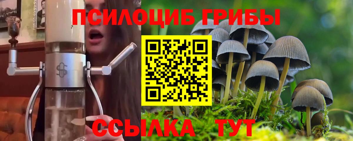 Псилоцибиновые грибы мухоморы  Псилоцибиновые грибы MAGIC MUSHROOMS  Усть-Джегута  Вход с VPN 