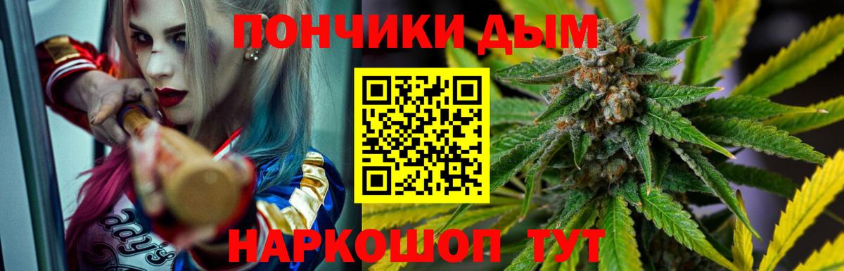 Шишки марихуана сатива  Шишки марихуана план  МАРИХУАНА тримм  Усть-Джегута  Канабис SATIVA & INDICA  Вход с VPN 